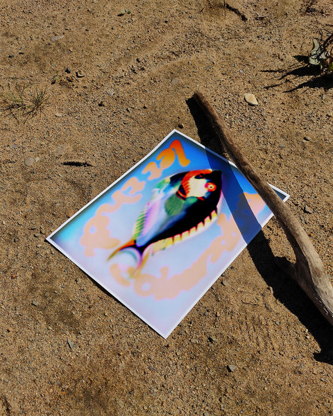 LET THESE COLOURS LAST